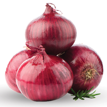 Fresh vegetables-onions